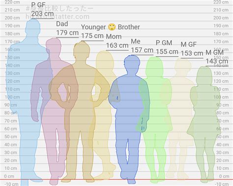 176cm 155cm|Height Charts